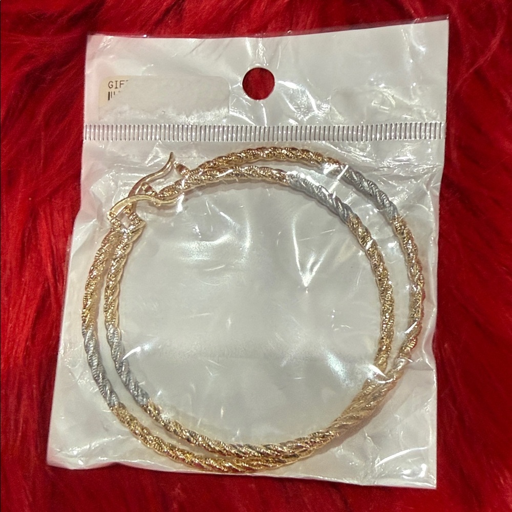 Elegant Gold and Silver Hoop Earrings